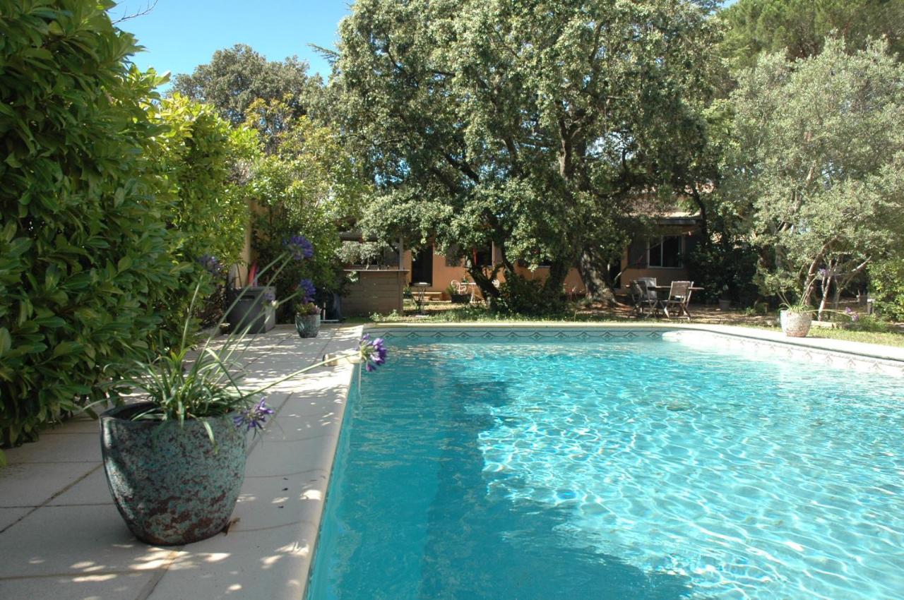 La Vigne Et L'Olivier Apartment Villeneuve-les-Avignon Exterior photo