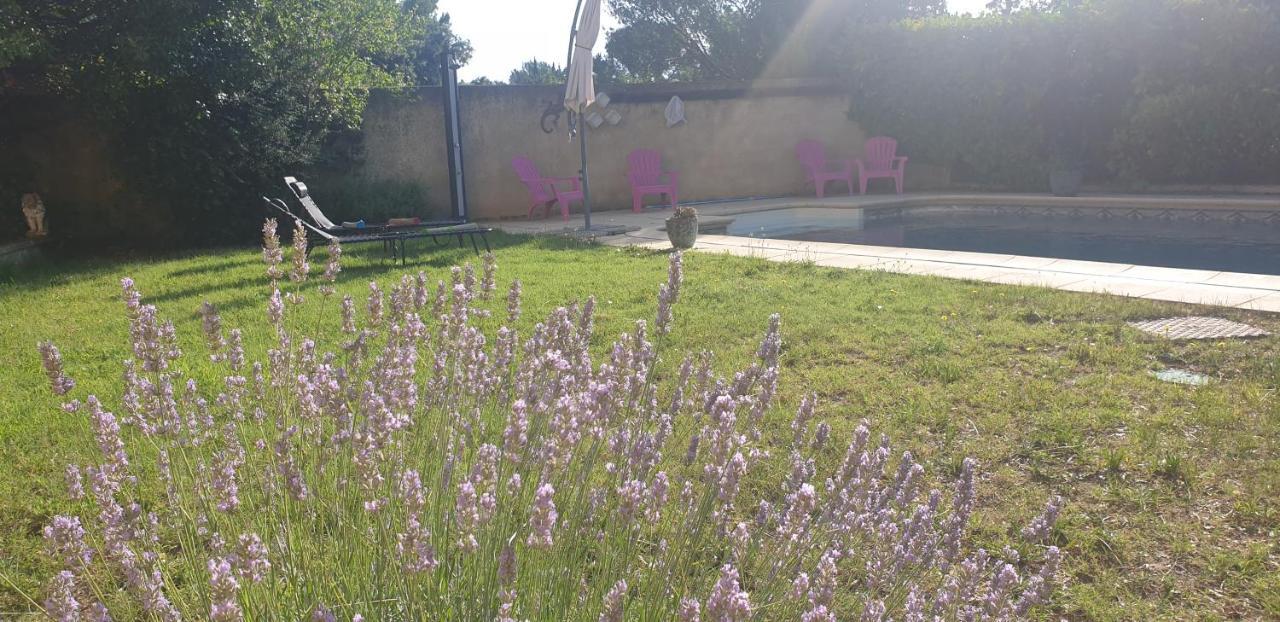 La Vigne Et L'Olivier Apartment Villeneuve-les-Avignon Exterior photo